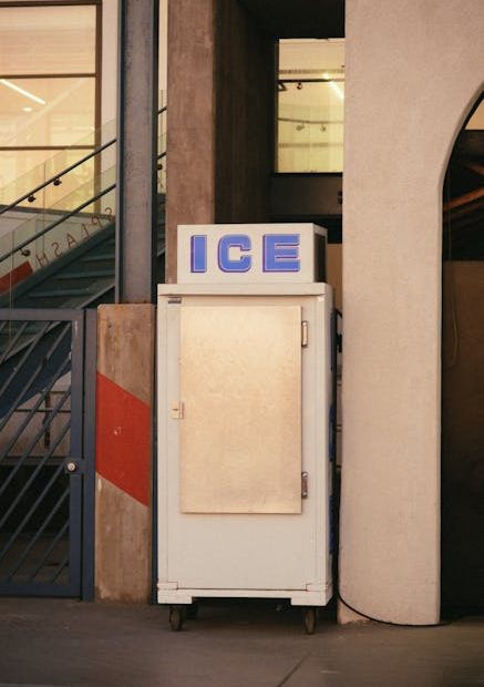 pexels photo 2962002