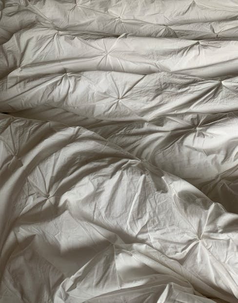 pexels photo 14510648